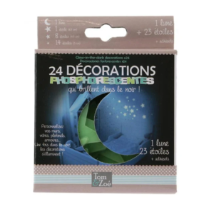Décoration phosphorescente x 24