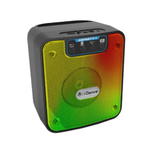 Enceinte Bluetooth GO PARTY 1