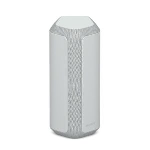 Enceinte portable SRS -XE300 - Gris
