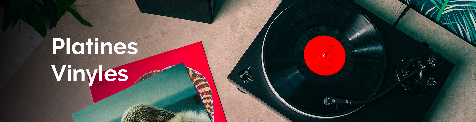 Platines Vinyles