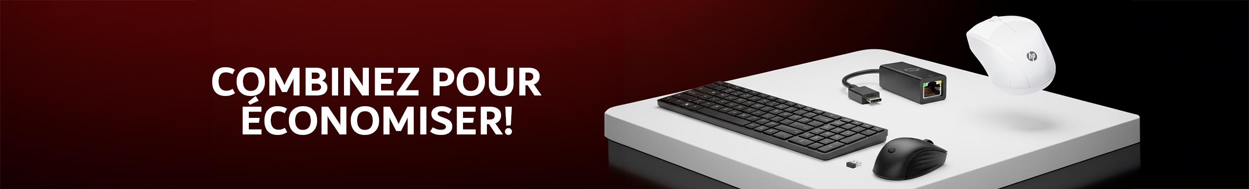 webbanner size 2 (1)